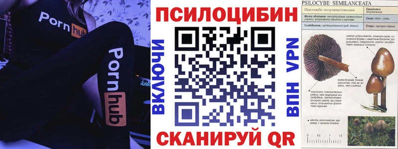 Псилоцибиновые грибы ЛСД Сосновка